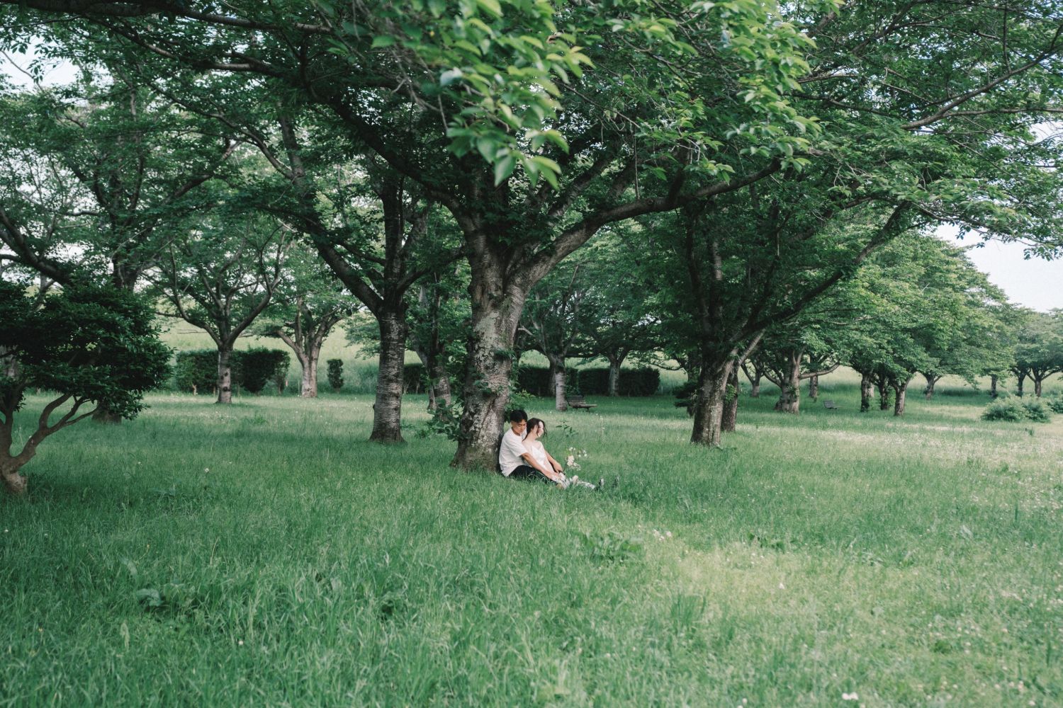 ウェディングフィルムの撮影風景（木陰に寄り添って座るおふたり）
